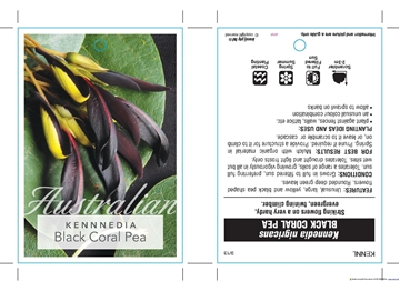 Picture of KENNEDIA NIGRICANS BLACK CORAL PEA                                                                                                                    