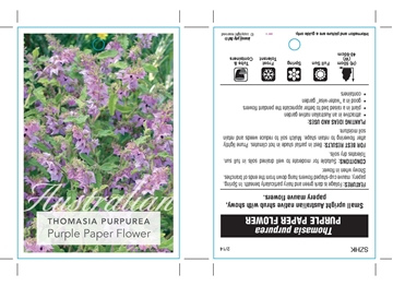 Picture of THOMASIA PURPUREA PURPLE PAPER FLOWER                                                                                                                 