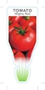 Picture of VEGETABLE TOMATO MIGHTY RED Lycopersicon esculentum                                                                                                   