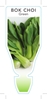 Picture of VEGETABLE BOK CHOI GREEN (Brassica chinensis)                                                                                                         