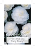 Picture of CAMELLIA EARLY PEARLY                                                                                                                                 