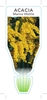 Picture of ACACIA MICROBOTRYA MANNA WATTLE                                                                                                                       