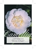 Picture of CAMELLIA SHIRO CHAN                                                                                                                                   