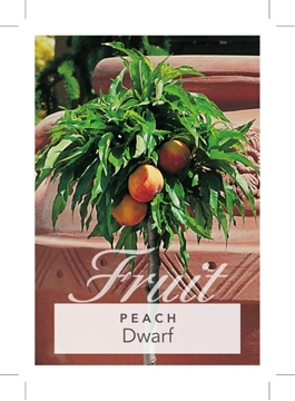 Picture of FRUIT PEACH DWARF                                                                                                                                     