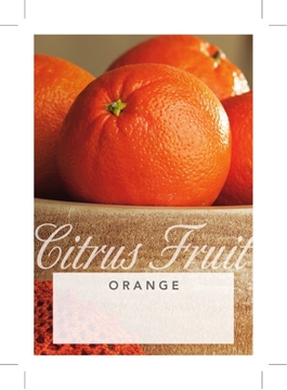 Picture of FRUIT CITRUS ORANGE (UNNAMED VARIETY)                                                                                                                 