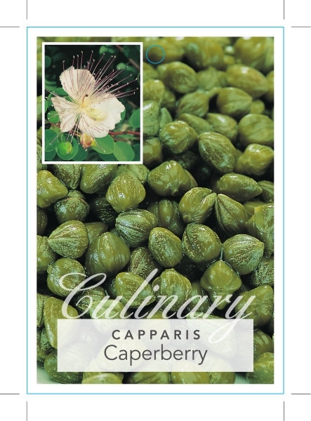Picture of CAPERBERRY                                                                                                                                            