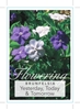 Picture of HOUSEPLANT BRUNFELSIA LATIFOLIA                                                                                                                       