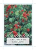 Picture of CALLISTEMON VIMINALIS LITTLE JOHN                                                                                                                     