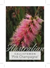 Picture of CALLISTEMON PINK CHAMPAGNE                                                                                                                            