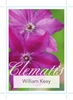 Picture of CLEMATIS WILLIAM KEAY                                                                                                                                 