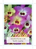 Picture of HOUSEPLANT DENDROBIUM ORCHID SOFT CANE                                                                                                                