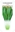 Picture of HERB CORIANDER LONG (Eryngium foetidum)                                                                                                               