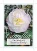 Picture of CAMELLIA BEATRICE EMILY                                                                                                                               