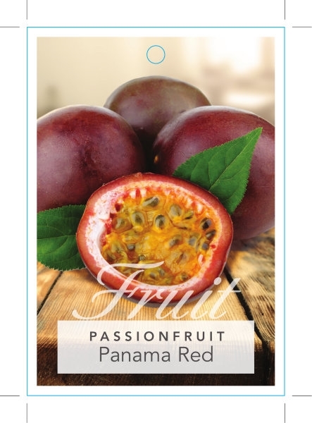 Picture of FRUIT PASSIONFRUIT PANAMA RED                                                                                                                         