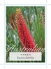 Picture of HAKEA BUCCULENTA RED POKERS                                                                                                                           