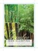 Picture of BAMBOO NON CLUMPING (MIXED PICTURE) Jumbo Tag                                                                                                         