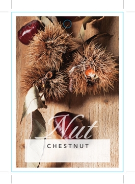 Picture of NUT CHESTNUT                                                                                                                                          