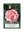 Picture of CAMELLIA JAPONICA CAN CAN                                                                                                                             