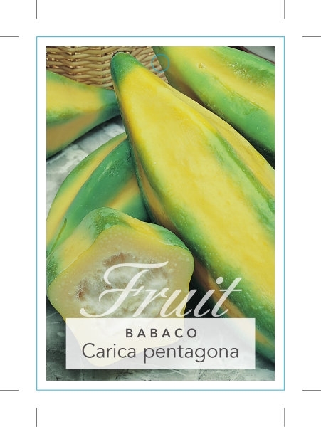 Picture of FRUIT BABACO CARICA PENTAGONA                                                                                                                         