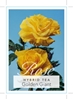 Picture of ROSE GOLDEN GIANT (HT)                                                                                                                                