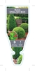 Picture of BUXUS SEMPERVIRENS COMMON OR ENGLISH BOX                                                                                                              