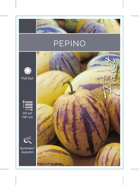 Picture of FRUIT PEPINO UNNAMED VARIETY (TICK BOX)                                                                                                               