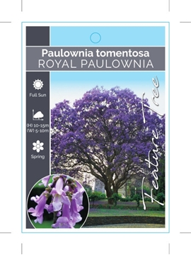 Picture of **PAULOWNIA TOMENTOSA                                                                                                                                 