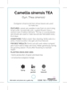 Picture of CAMELLIA SINENSIS (SYN Thea sinensis) TEA                                                                                                             