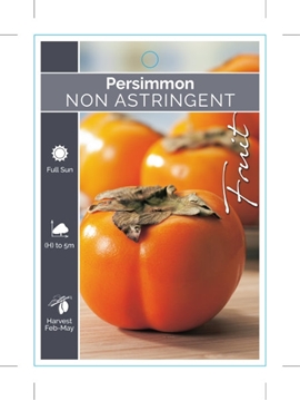 Picture of FRUIT PERSIMMON NON ASTRINGENT (TICK BOX)                                                                                                             