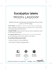 Picture of EUCALYPTUS LATENS MOON LAGOON                                                                                                                         