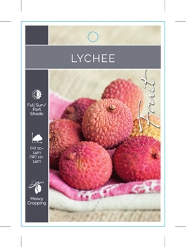 Picture of FRUIT LYCHEE                                                                                                                                          