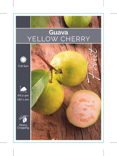 Picture of FRUIT GUAVA YELLOW CHERRY                                                                                                                             