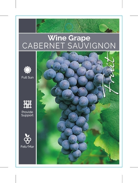 Picture of FRUIT GRAPE WINE CABERNET SAUVIGNON                                                                                                                   