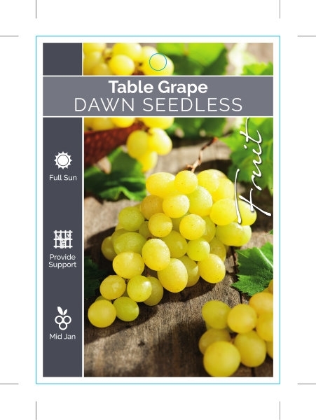 Picture of FRUIT TABLE GRAPE DAWN SEEDLESS                                                                                                                       