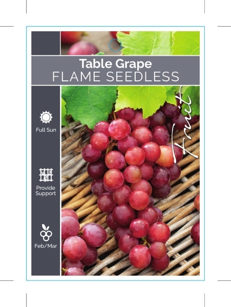 Picture of FRUIT GRAPE TABLE FLAME SEEDLESS                                                                                                                      