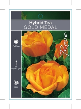 Picture of ROSE GOLD MEDAL (HT)                                                                                                                                  