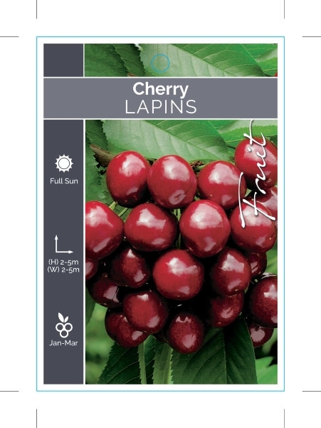 Picture of FRUIT CHERRY LAPINS                                                                                                                                   