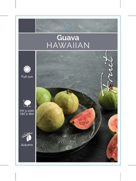 Picture of FRUIT GUAVA HAWAIIAN                                                                                                                                  