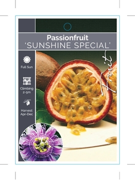 Picture of FRUIT PASSIONFRUIT SUNSHINE SPECIAL (Passiflora edulis)                                                                                               