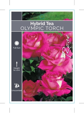 Picture of ROSE OLYMPIC TORCH (HT)                                                                                                                               