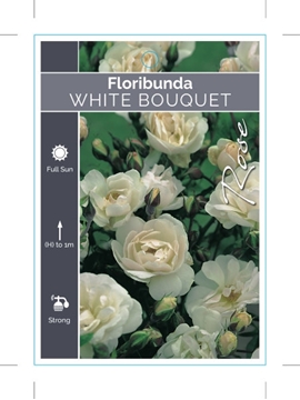 Picture of **ROSE WHITE BOUQUET (FL)                                                                                                                             