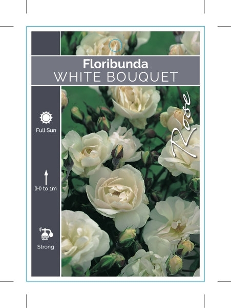 Picture of **ROSE WHITE BOUQUET (FL)                                                                                                                             
