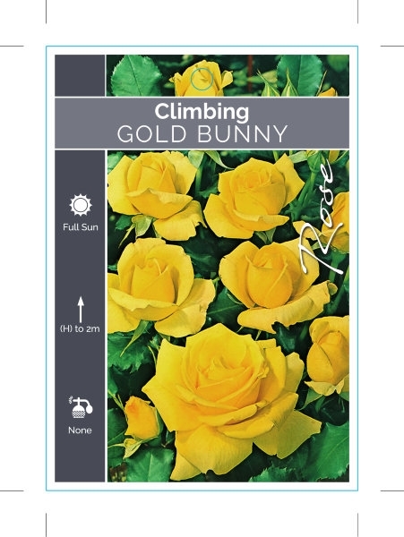 Picture of ROSE GOLD BUNNY CLIMBING                                                                                                                              