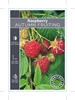Picture of FRUIT RASPBERRY AUTUMN FRUITING (HERITAGE)                                                                                                            