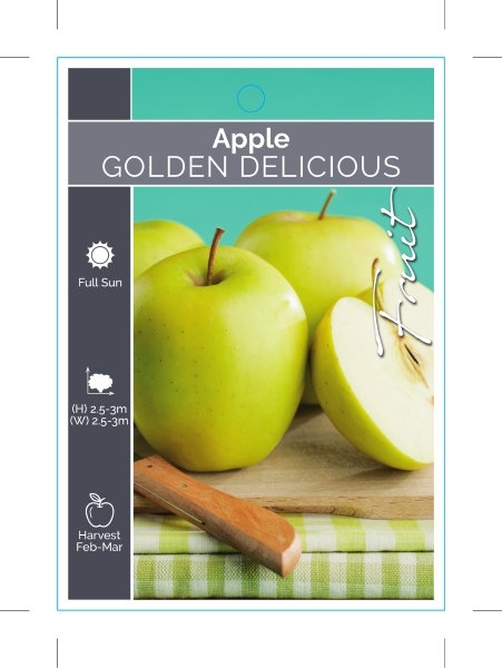 Picture of FRUIT APPLE GOLDEN DELICIOUS (HERITAGE)                                                                                                               