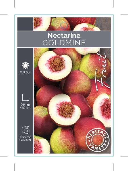 Picture of FRUIT NECTARINE GOLDMINE (HERITAGE)                                                                                                                   