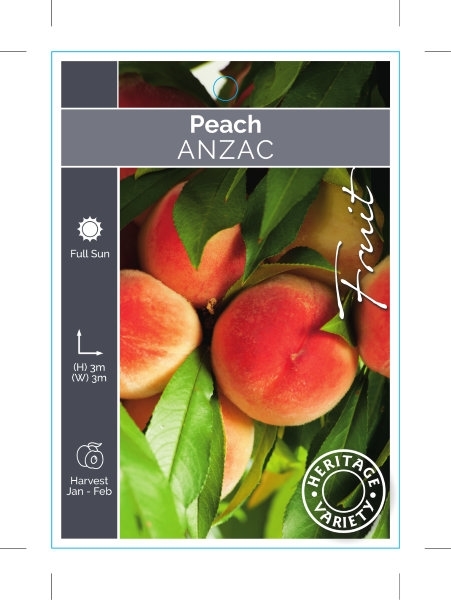 Picture of FRUIT PEACH ANZAC (HERITAGE)                                                                                                                          