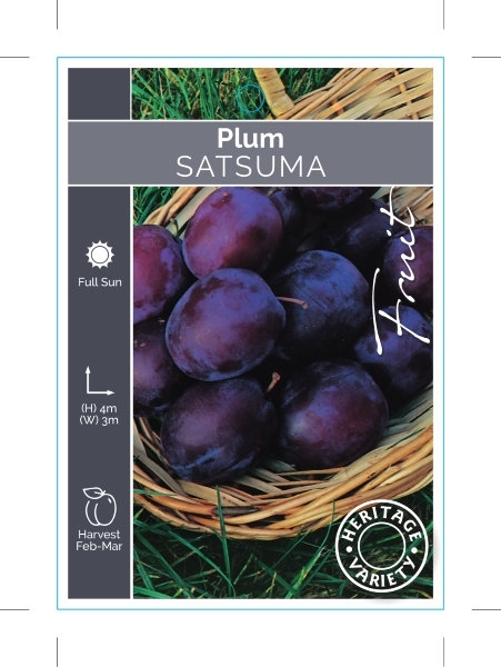 Picture of FRUIT PLUM SATSUMA (HERITAGE)                                                                                                                         