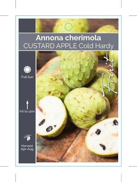 Picture of FRUIT CUSTARD APPLE COLD HARDY                                                                                                                        