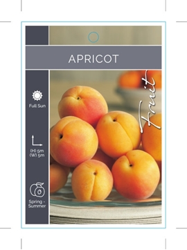 Picture of FRUIT APRICOT (UNNAMED VARIETY)                                                                                                                       